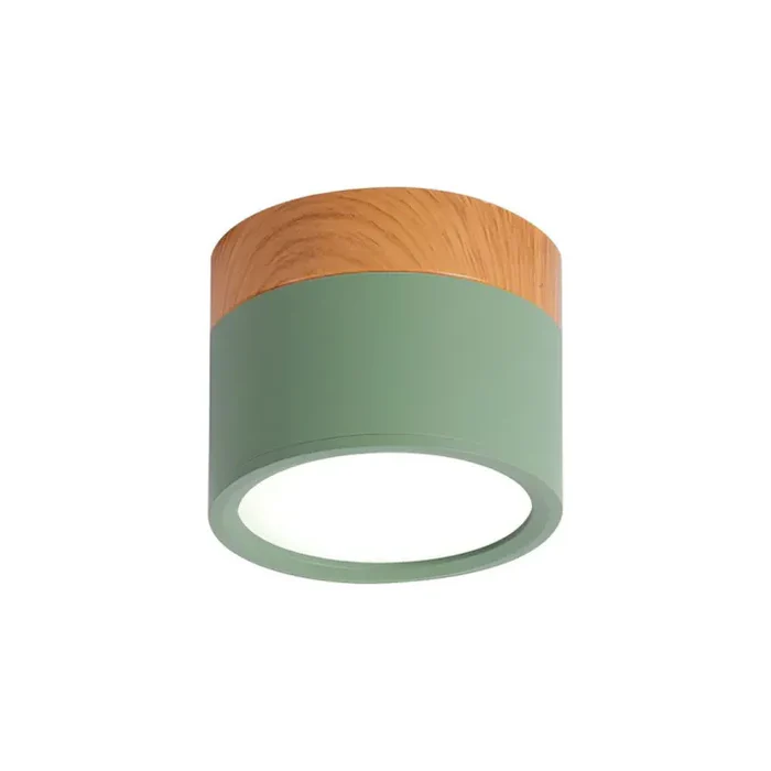 Nordic Simple Cylinder Led Ceiling Light