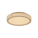 Luxury Crystal LED Flush Mount Ceiling Light in Chrome