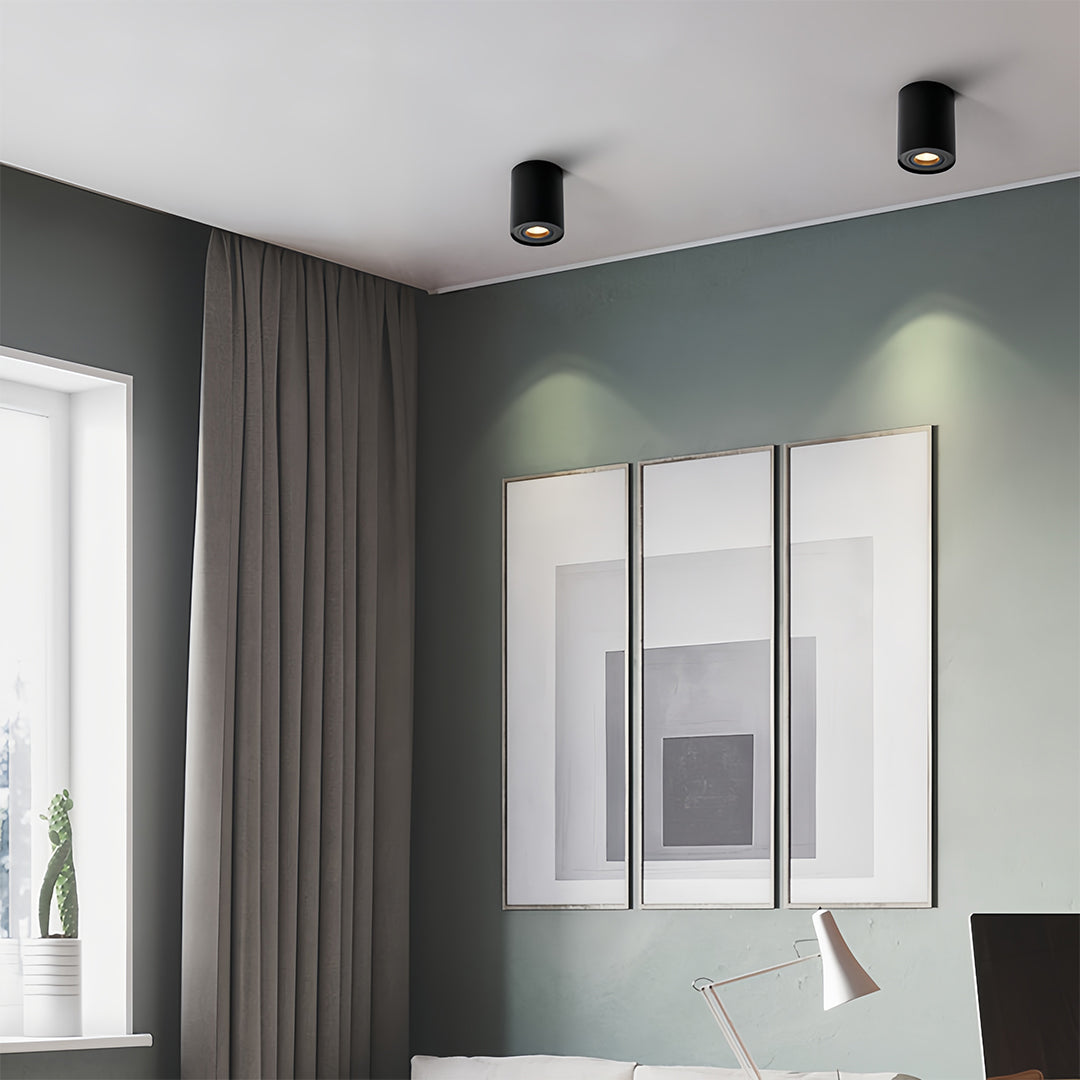 Modern Cylindrical LED Ceiling Light, Surface Mounted Downlight in Black