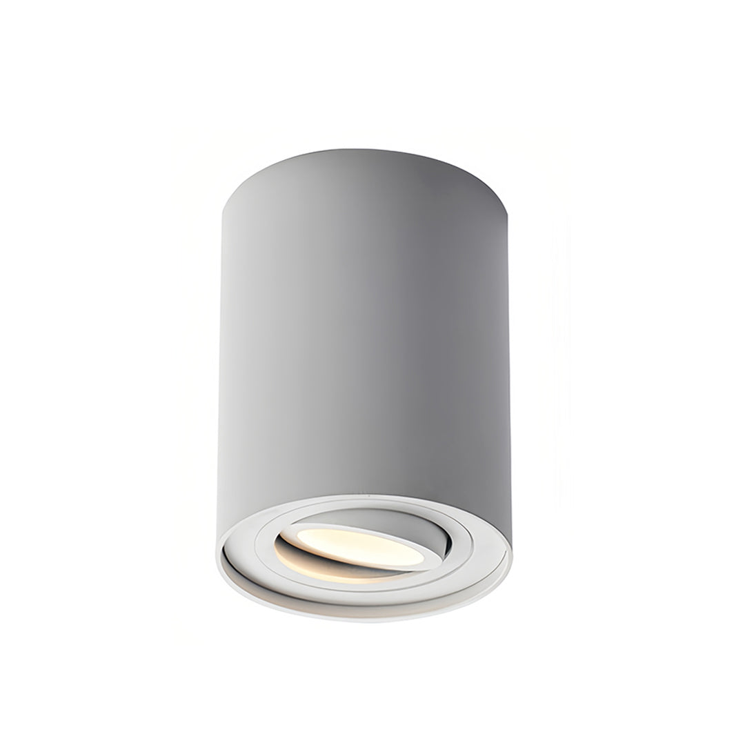 Modern Cylindrical LED Ceiling Light, Surface Mounted Downlight in Black
