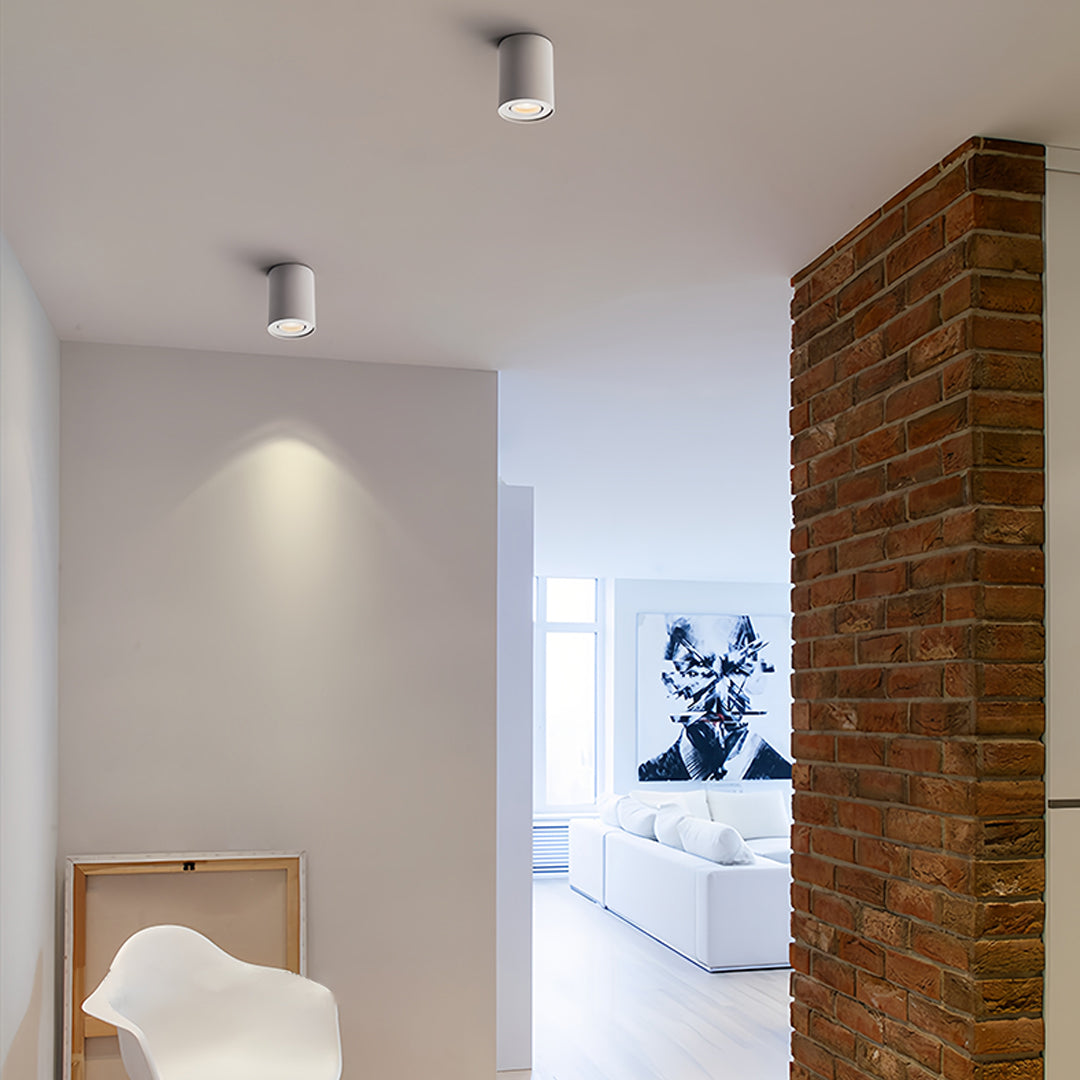 Modern Cylindrical LED Ceiling Light, Surface Mounted Downlight in Black