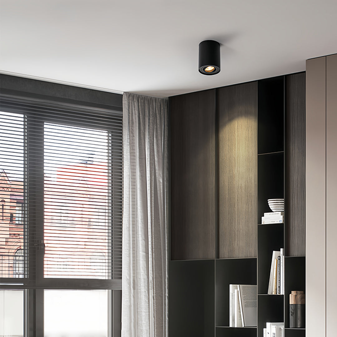 Modern Cylindrical LED Ceiling Light, Surface Mounted Downlight in Black