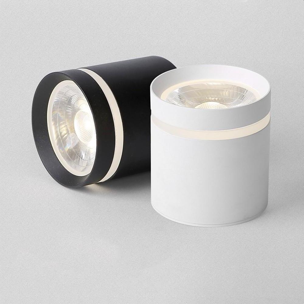 Lighting Ceiling Lights Flush Mount Lighting_549P1