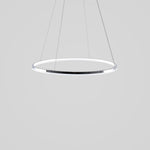 Lighting Ceiling Lights Pendant Lighting_X4Gp