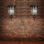 European-Style Black Aluminum Pendant Light with Glass Shade for Outdoor & Indoor Use