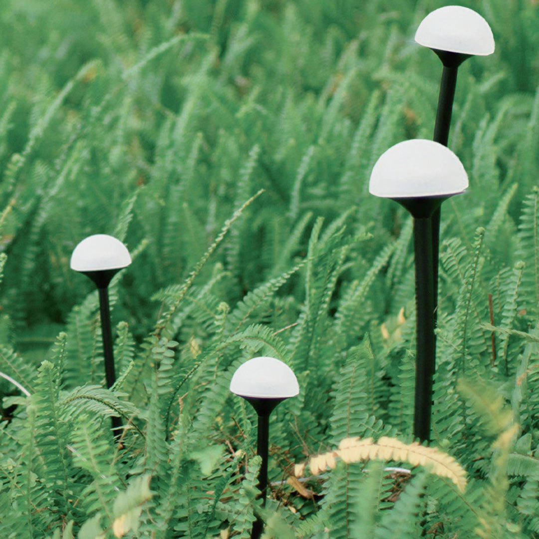 Architectural LED Landscape Path Lights, IP65 Waterproof Aluminum Garden Lighting