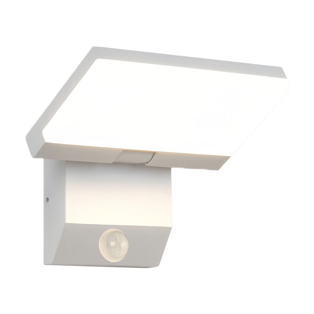 Industrial Outdoor Wall Sconce with Adjustable Head, IP65 Waterproof Aluminum LED Light