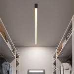 Minimalist LED Ceiling Light with Stepless Dimming and Remote Control