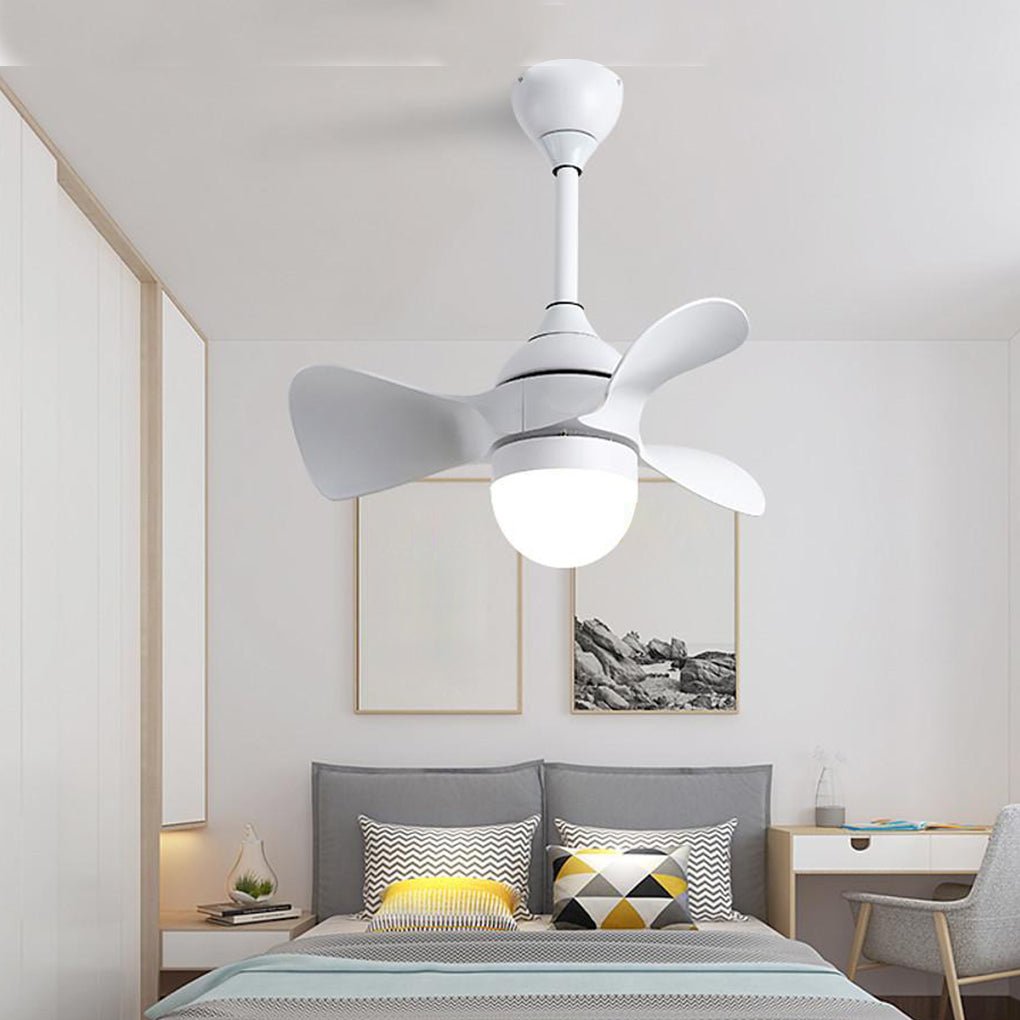 Lighting Ceiling Lights Ceiling Fans_4Rmck