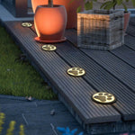 Lumière Féline Recessed LED Deck Light with Cat Paw Motif