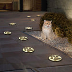Lumière Féline Recessed LED Deck Light with Cat Paw Motif