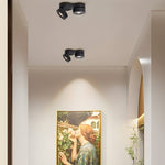 Aria Double-Head Adjustable Ceiling Spotlight in Black or White
