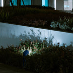 Lumière Spike Spotlight – Modern Outdoor LED Uplight for Landscape and Garden