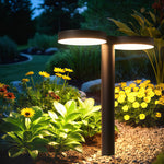 Modern Solar Path Lights Outdoor Waterproof Landscape Lighting