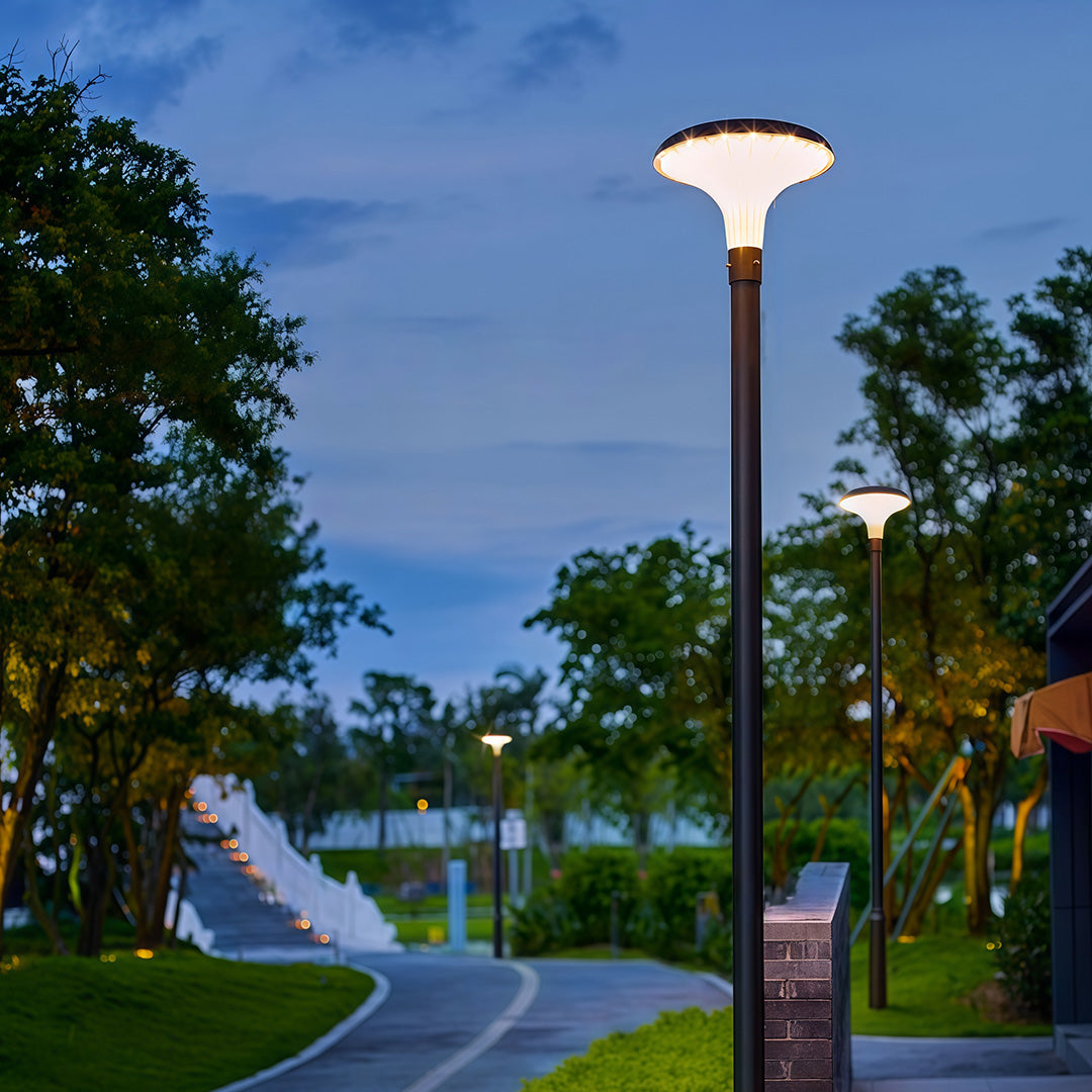 Solar & Hardwired LED High Pole Street Light – IP65 Waterproof Black Aluminum