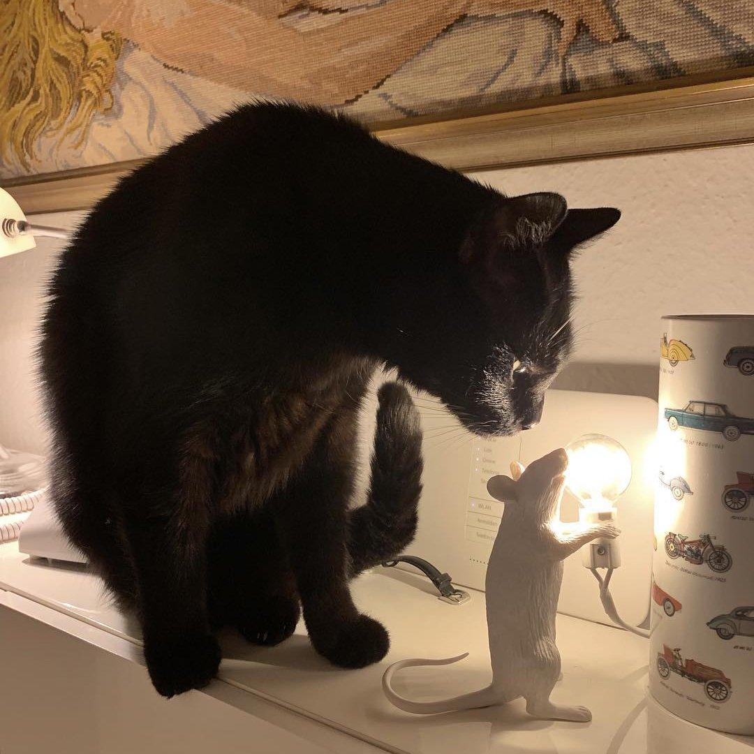 Mouse Table Lamp