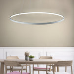 Round Geometric 30 Watt Single Ring Integrated Led Modern Bedroom Pendant