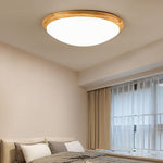 Lighting Ceiling Lights Flush Mount Lighting_52Yac