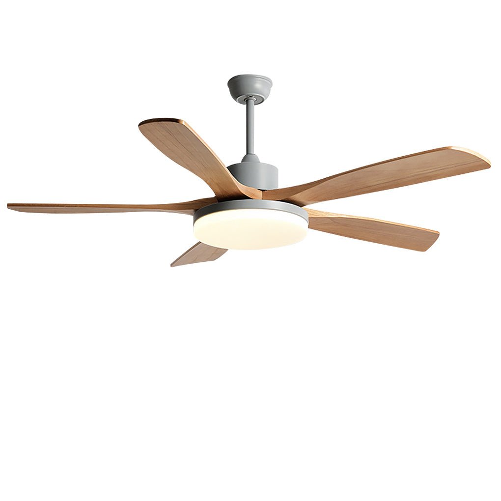 Nordic Frequency Conversion Dimmable Led Ceiling Fan Lamp With Remote Control