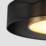 Nordic Round Dimmable Led Ceiling Lights Flush Mount Lighting With Remote Control