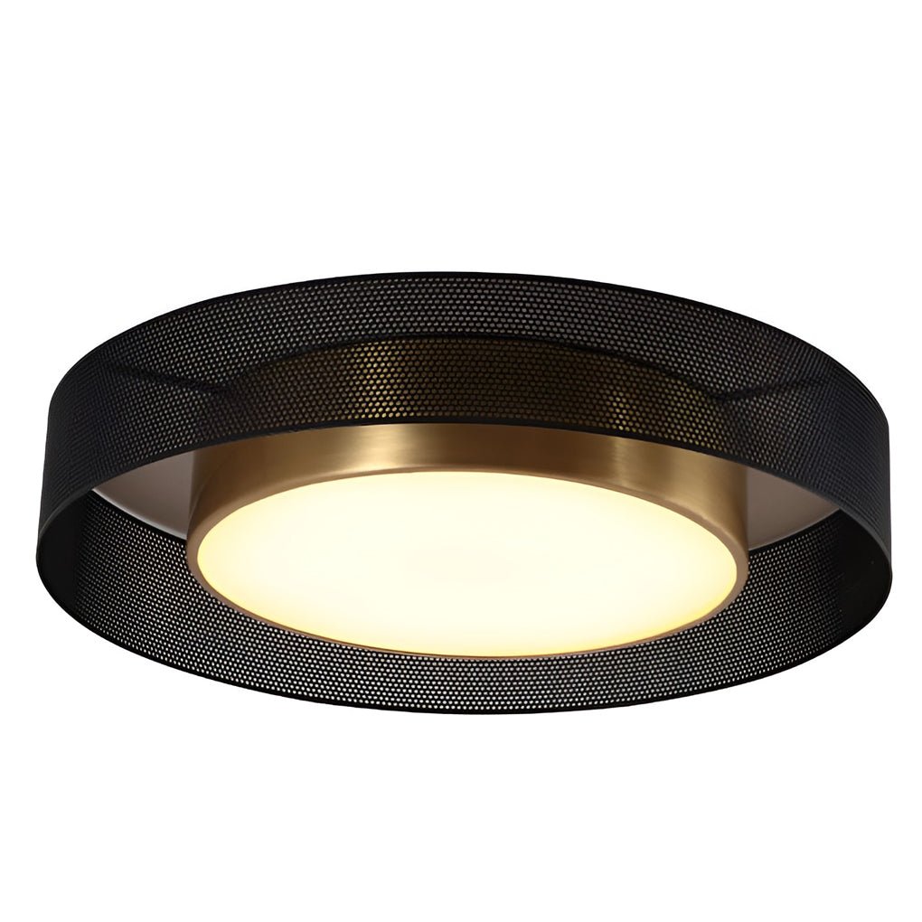 Nordic Round Dimmable Led Ceiling Lights Flush Mount Lighting With Remote Control