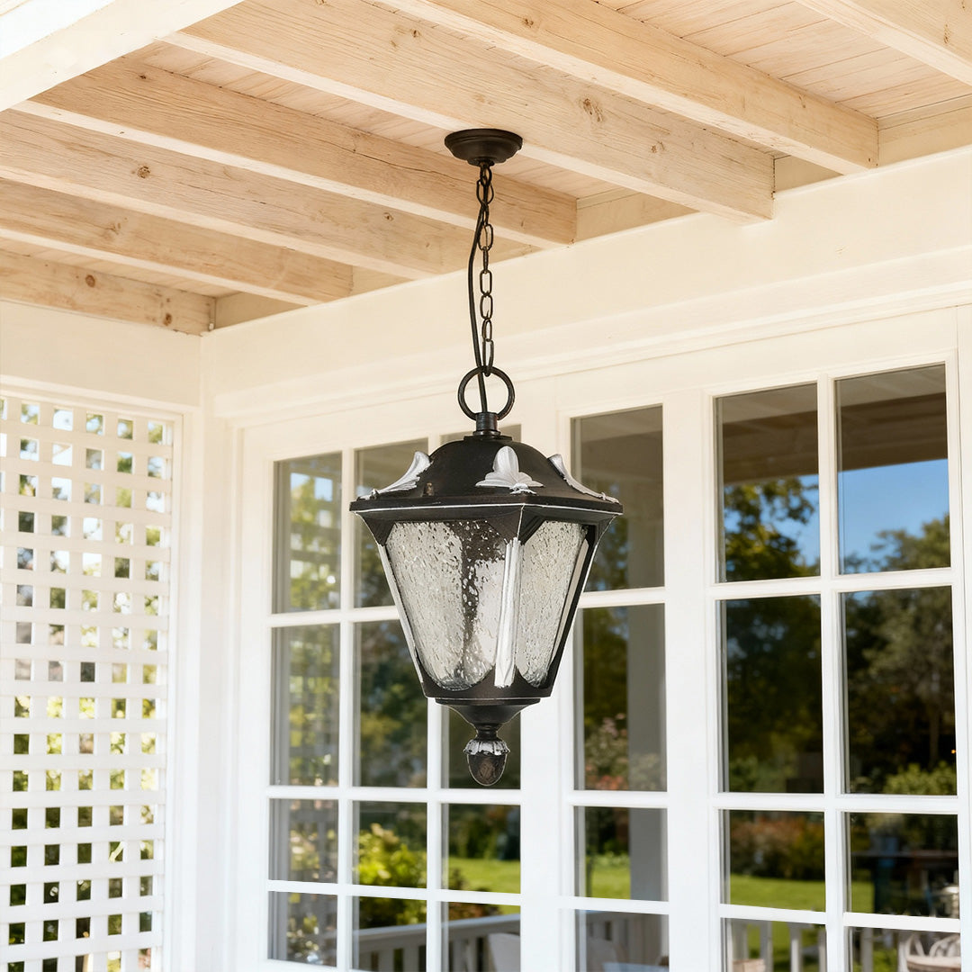 Modern Minimalist Outdoor Pendant Light with Clear Glass Shade