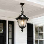 Modern Minimalist Outdoor Pendant Light with Clear Glass Shade