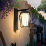 Aurelia Outdoor Wall Lantern Sconce in Black Stainless Steel