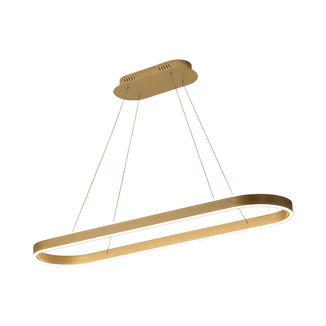 Oval LED Pendant Light in Aluminum for Modern Interiors