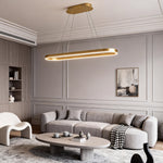 Oval LED Pendant Light in Aluminum for Modern Interiors