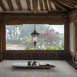 European-Style Black Aluminum Pendant Light with Glass Shade for Outdoor & Indoor Use