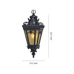 Outdoor Black Aluminum Pendant Light with Clear Glass Shade