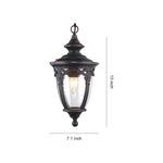 Outdoor Pendant Light with Adjustable Chain, Sand Black Aluminum & Clear Glass
