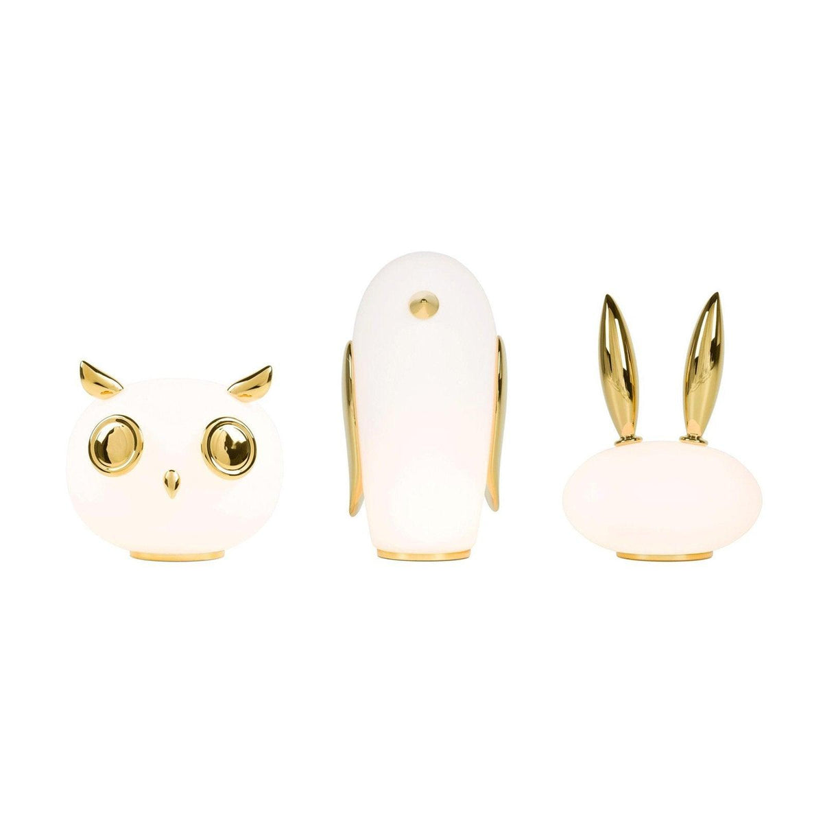 Pet Light