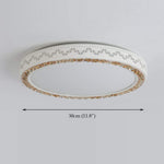 Lighting Ceiling Lights Flush Mount Lighting_3Ibid