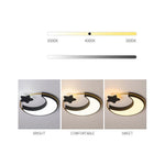 Lighting Ceiling Lights Flush Mount Lighting_4Zweg