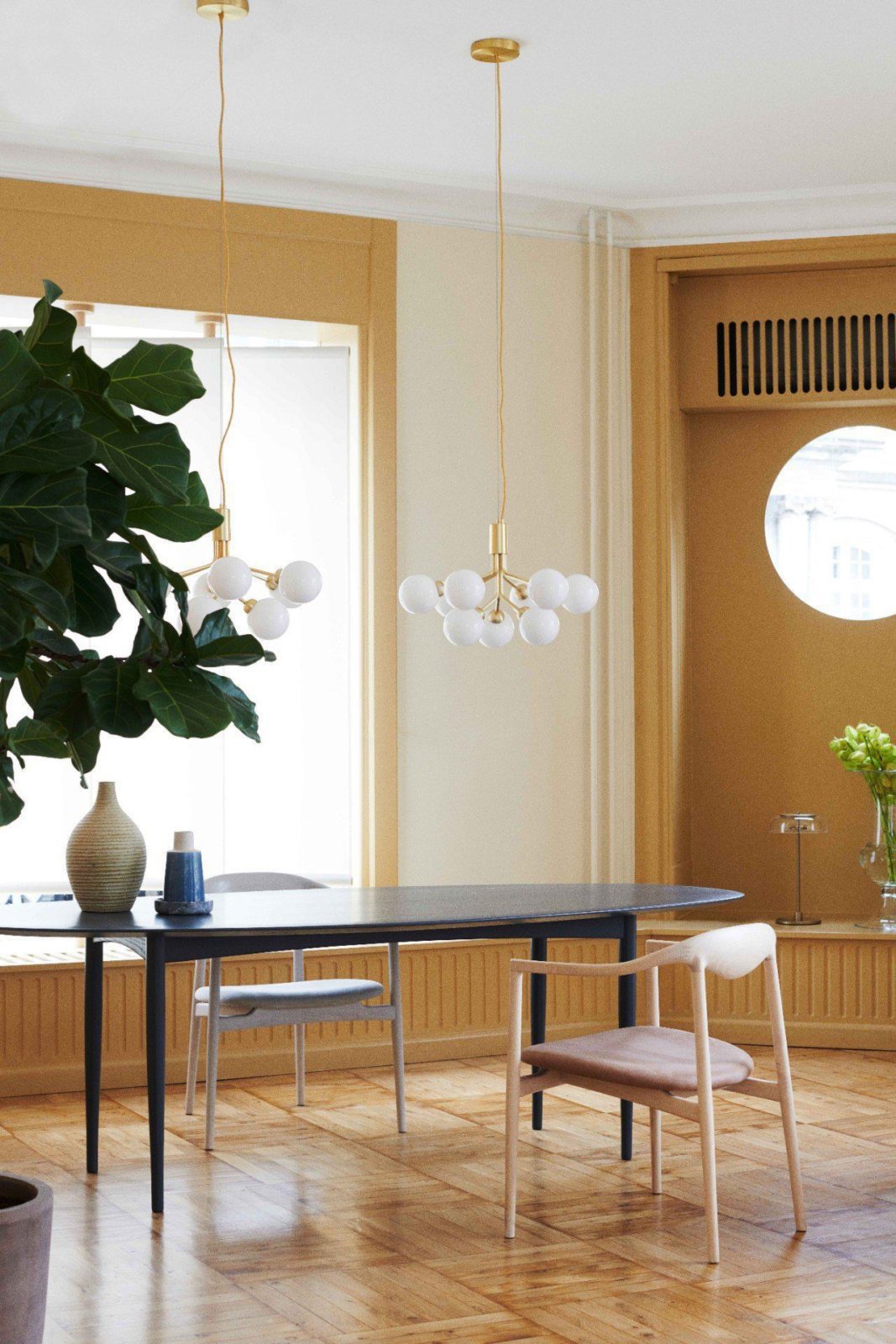 Apiales Chandeliers
