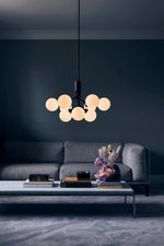 Apiales Chandeliers