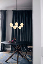 Apiales Chandeliers
