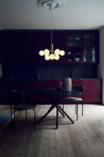 Apiales Chandeliers