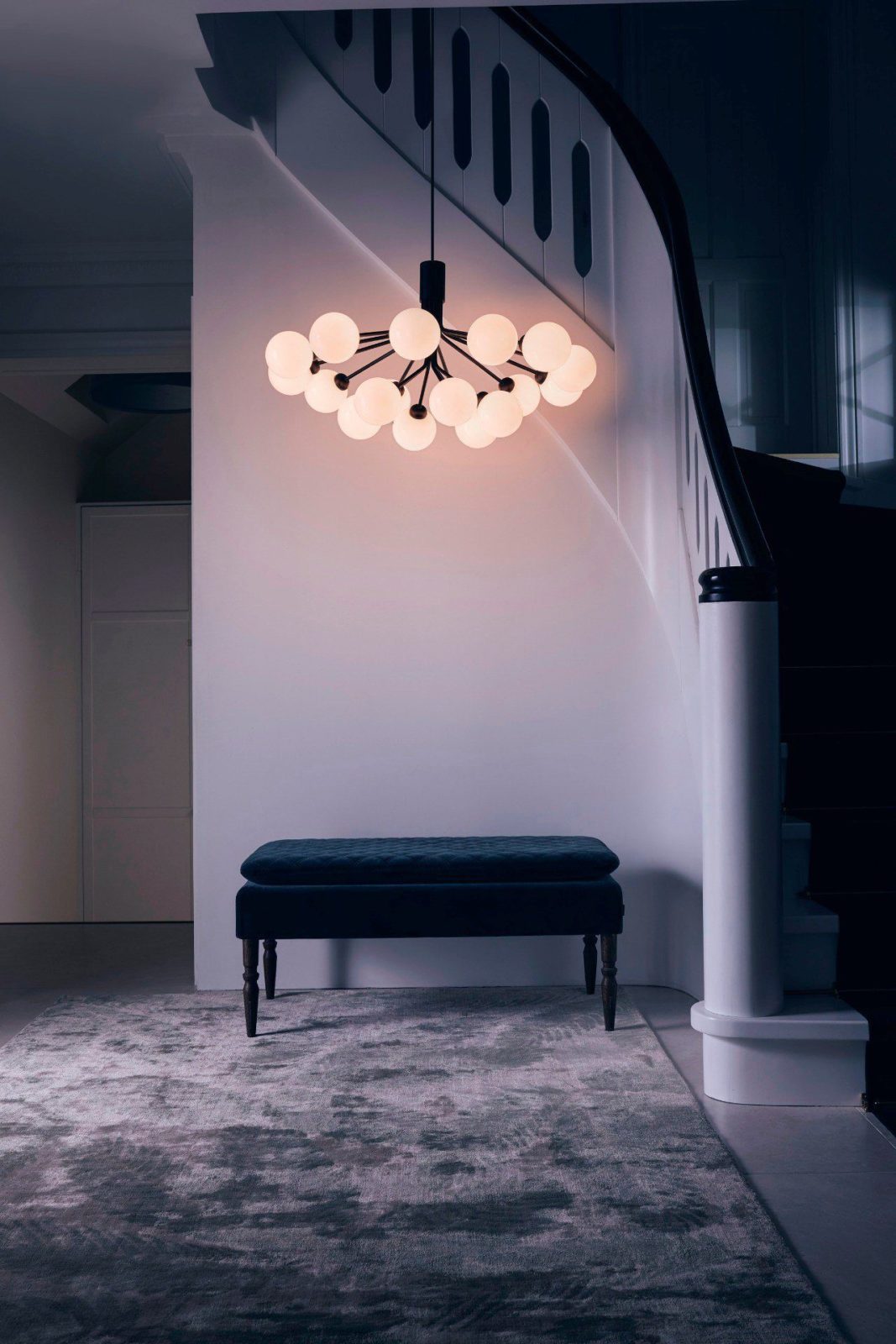 Apiales Chandeliers