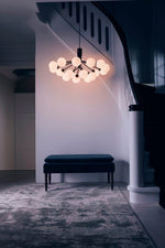 Apiales Chandeliers