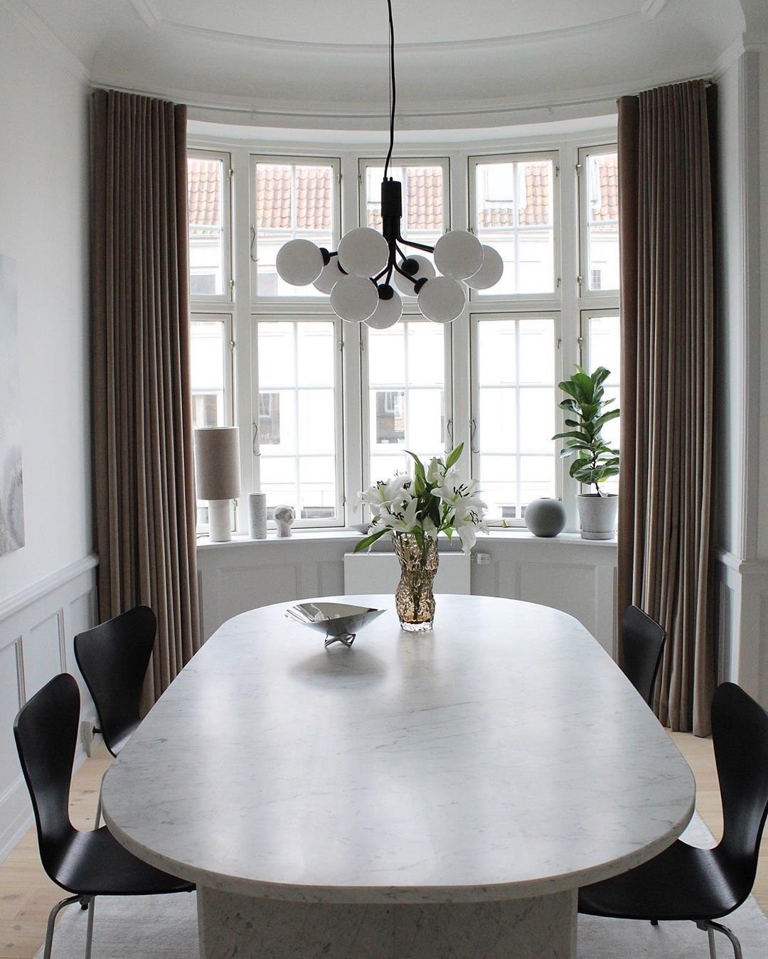 Apiales Chandeliers