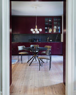 Apiales Chandeliers
