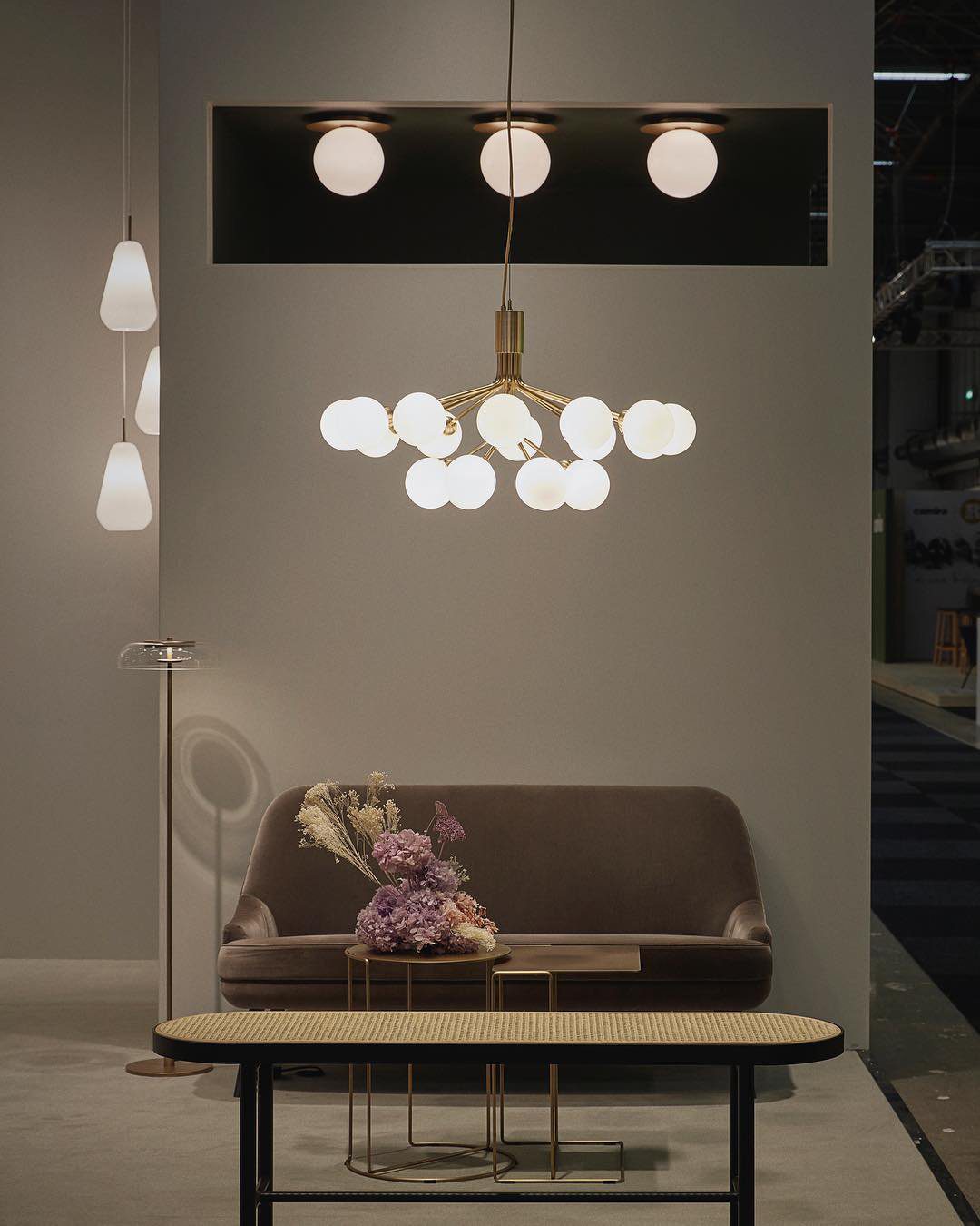 Apiales Chandeliers