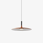 Aplomb Pendant light