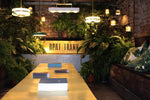 Masina Pendant Lamp