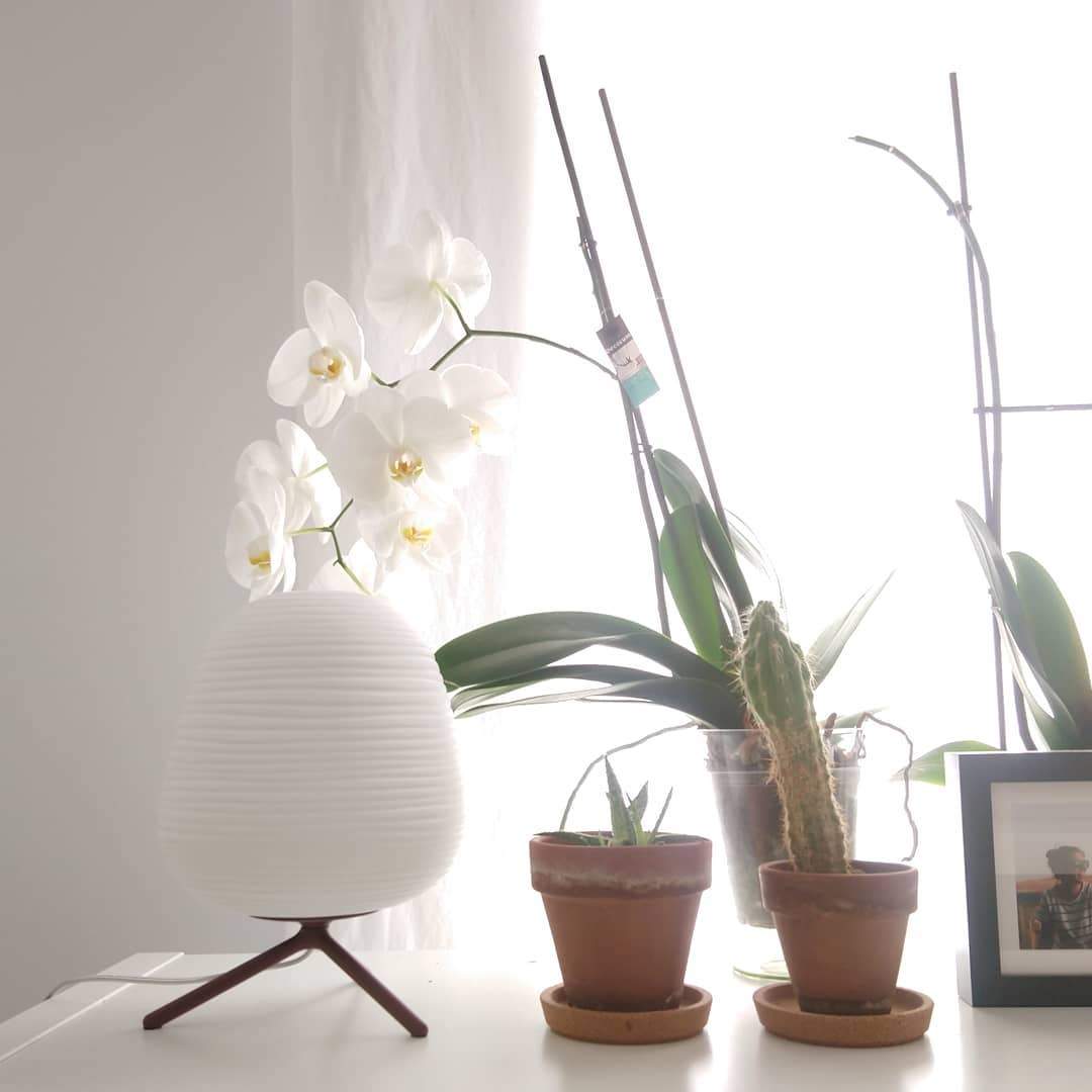 Rituals Table lamp