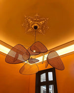 Suspension Screen Cannage