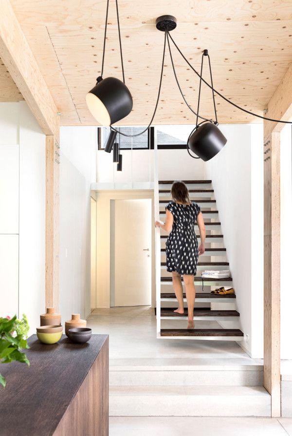 Aim Pendant Light
